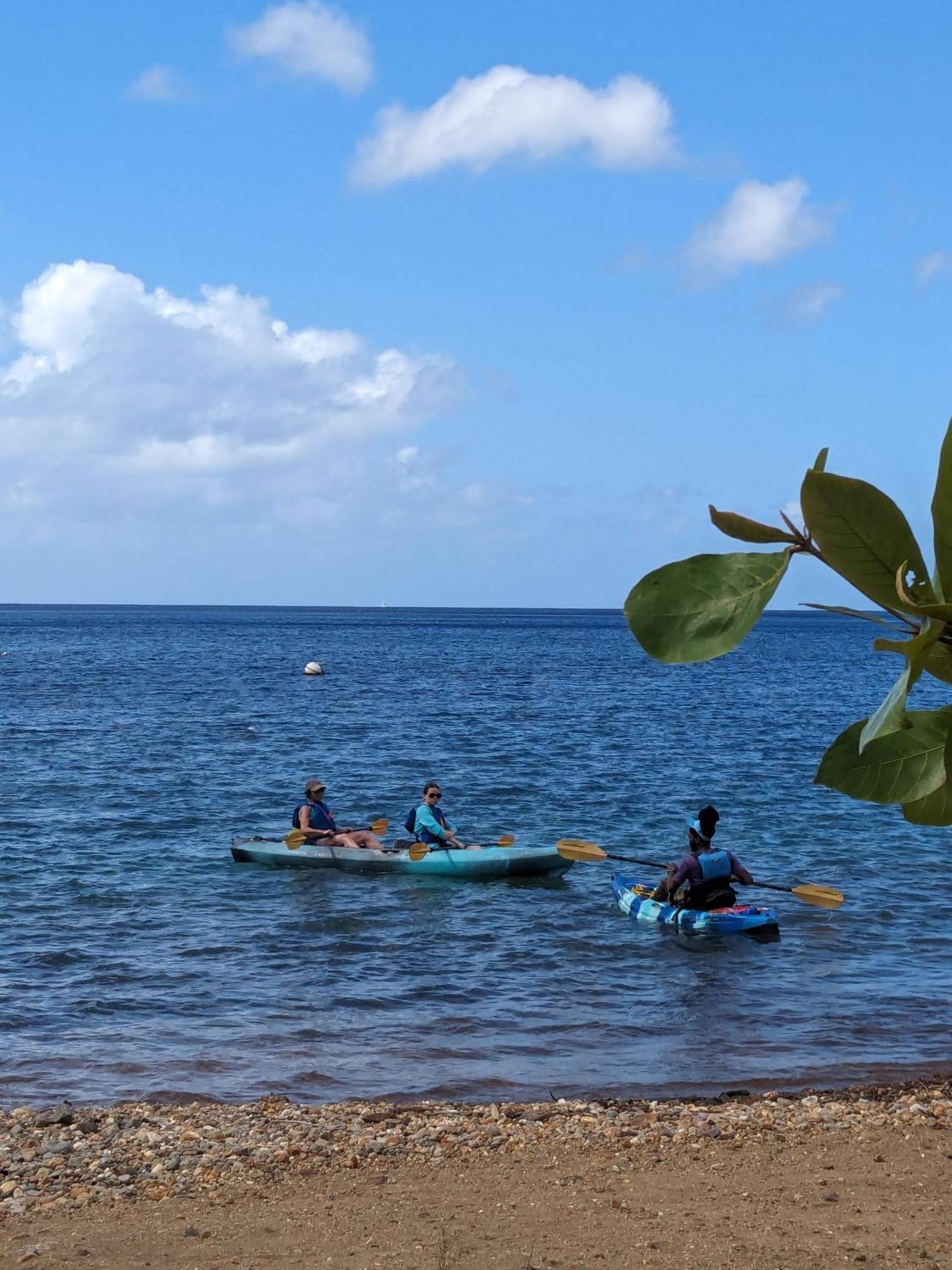 Rainbow Heights Apartment, Soufriere Екстериор снимка